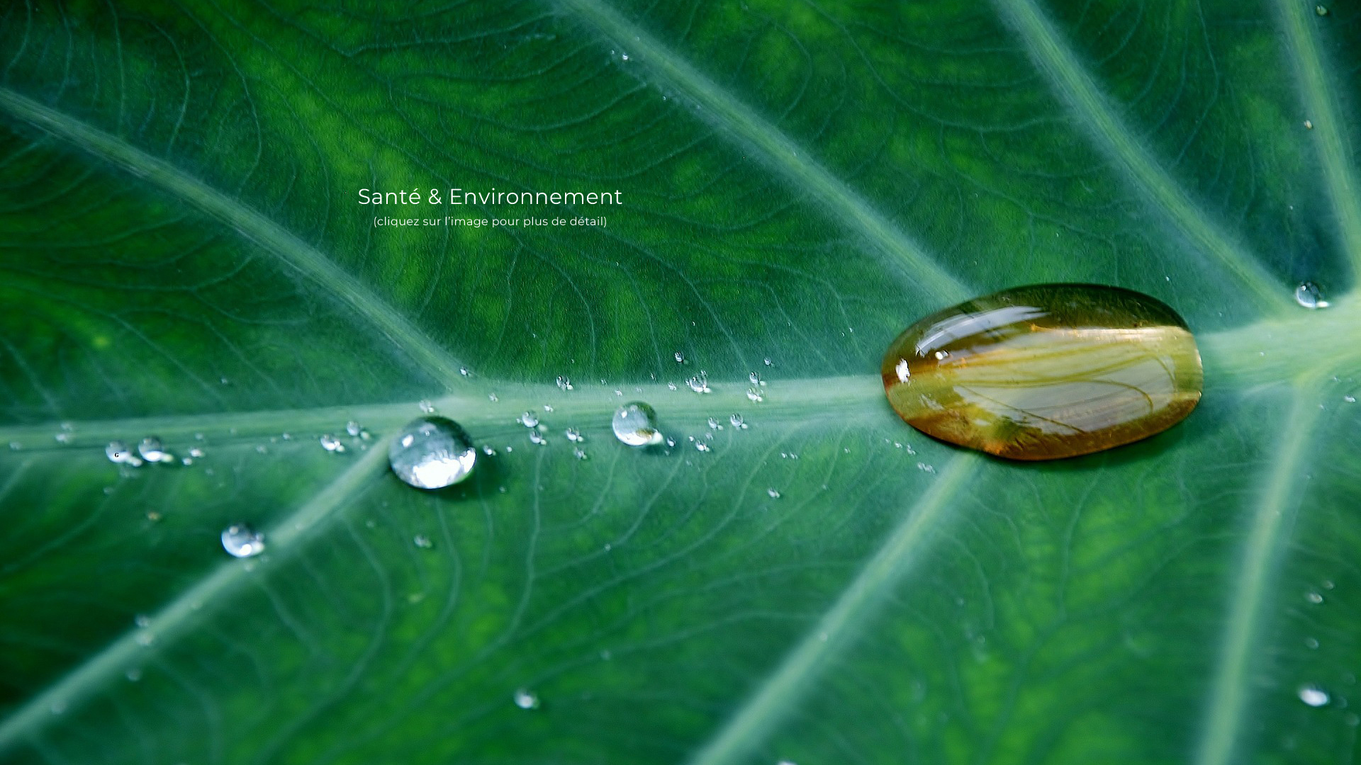 revêtement technique industriel - santé et environnement 01