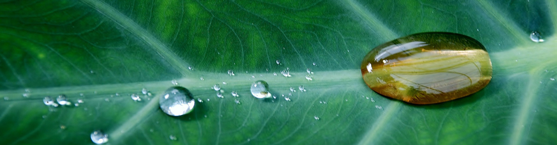 revêtement technique industriel - santé et environnement